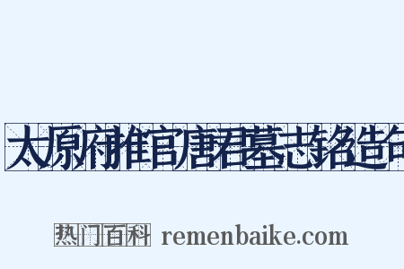 太原府推官唐君墓志铭造句是什么意思的图片